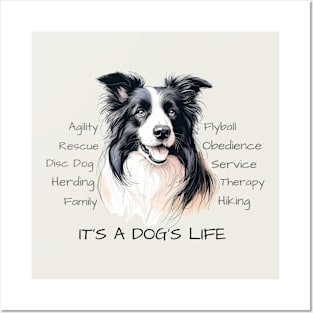 It's a Dog's Life - Border Collie Posters and Art